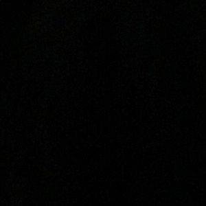 Meet your Posher, Reyna